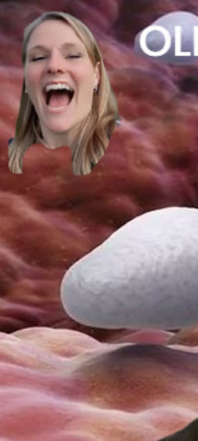 Nina Webslut Whore for public and upload,cumtribute,cocktribute and Pisstribute,fake me 💄👠 #1conoJM9